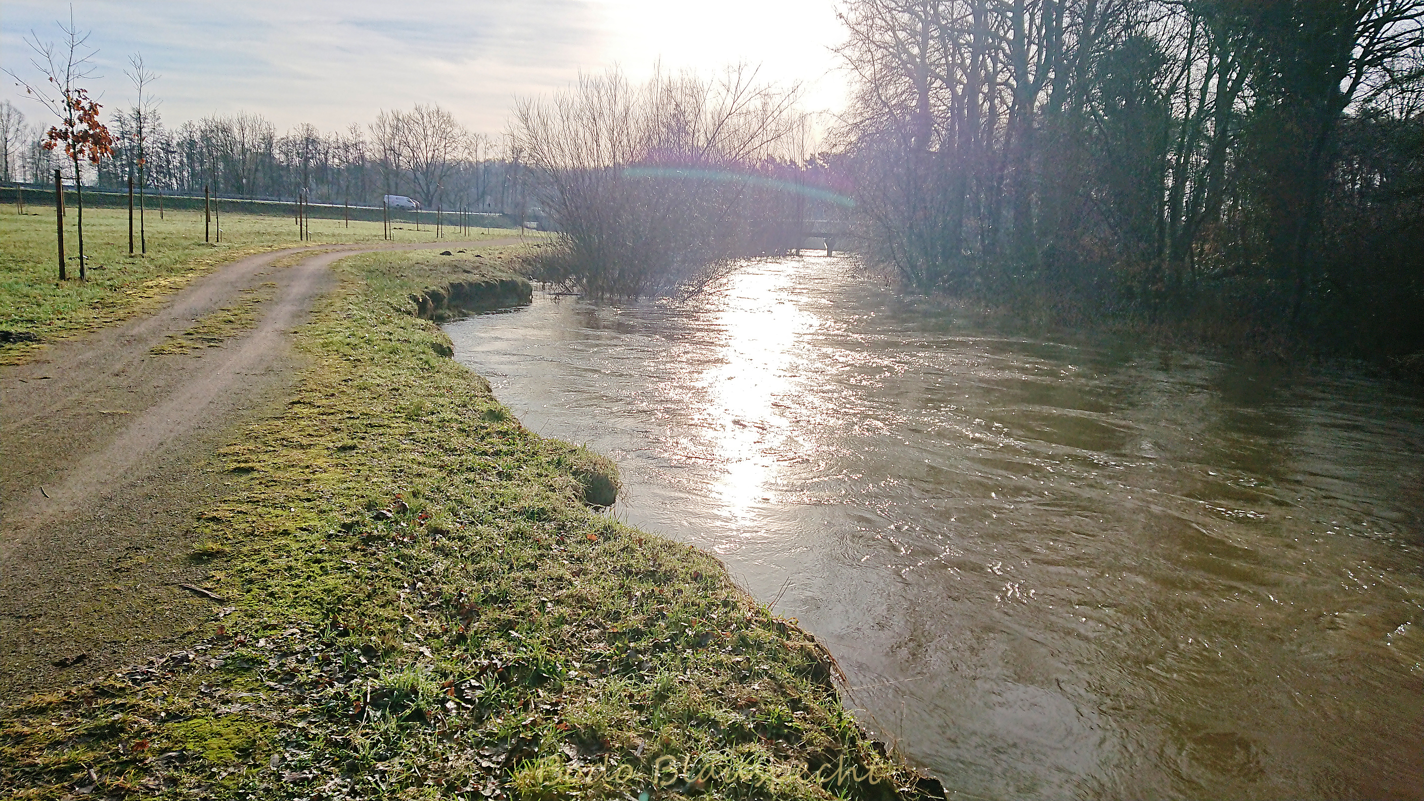 Hochwasser   Steveraue   2024.02.10 09.56 78 WEB